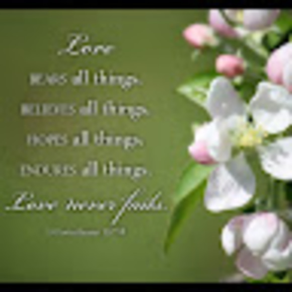 Meet your Posher, Priscilla - Picture 1 of 1